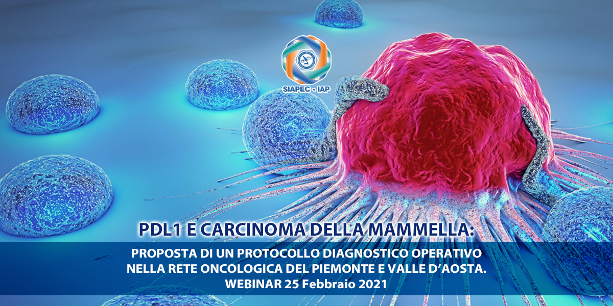 PDL1 E CARCINOMA DELLA MAMMELLA: PROPOSTA DI UN PROTOCOLLO DIAGNOSTICO ...